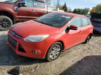  Salvage Ford Focus