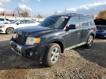  Salvage Ford Escape