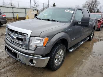  Salvage Ford F-150