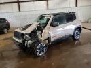 Jeep Renegade Trailhawk Image 1