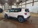 Jeep Renegade Trailhawk Image 8