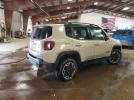 Jeep Renegade Trailhawk Image 3
