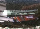 Dodge Charger Sxt Image 7