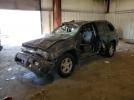 Chevrolet Trailblazer Image 1