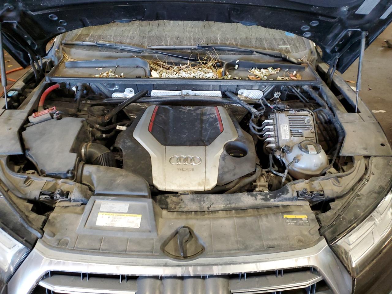 Audi Sq Premium Plus Image 13