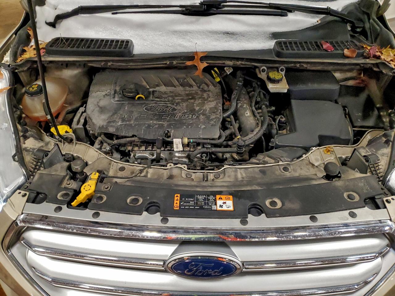 Ford Escape Se Image 10