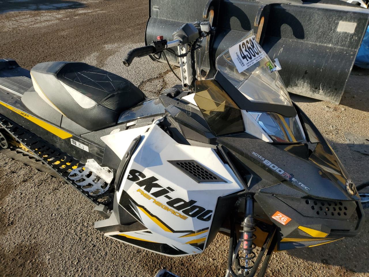 Ski-Doo Snowmobile Image 4