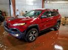Jeep Cherokee Trailhawk Image 1