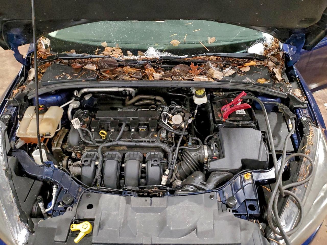 Ford Focus Sel Image 8