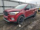 Ford Escape Sel Image 1