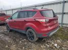Ford Escape Sel Image 4