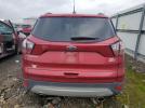 Ford Escape Sel Image 9