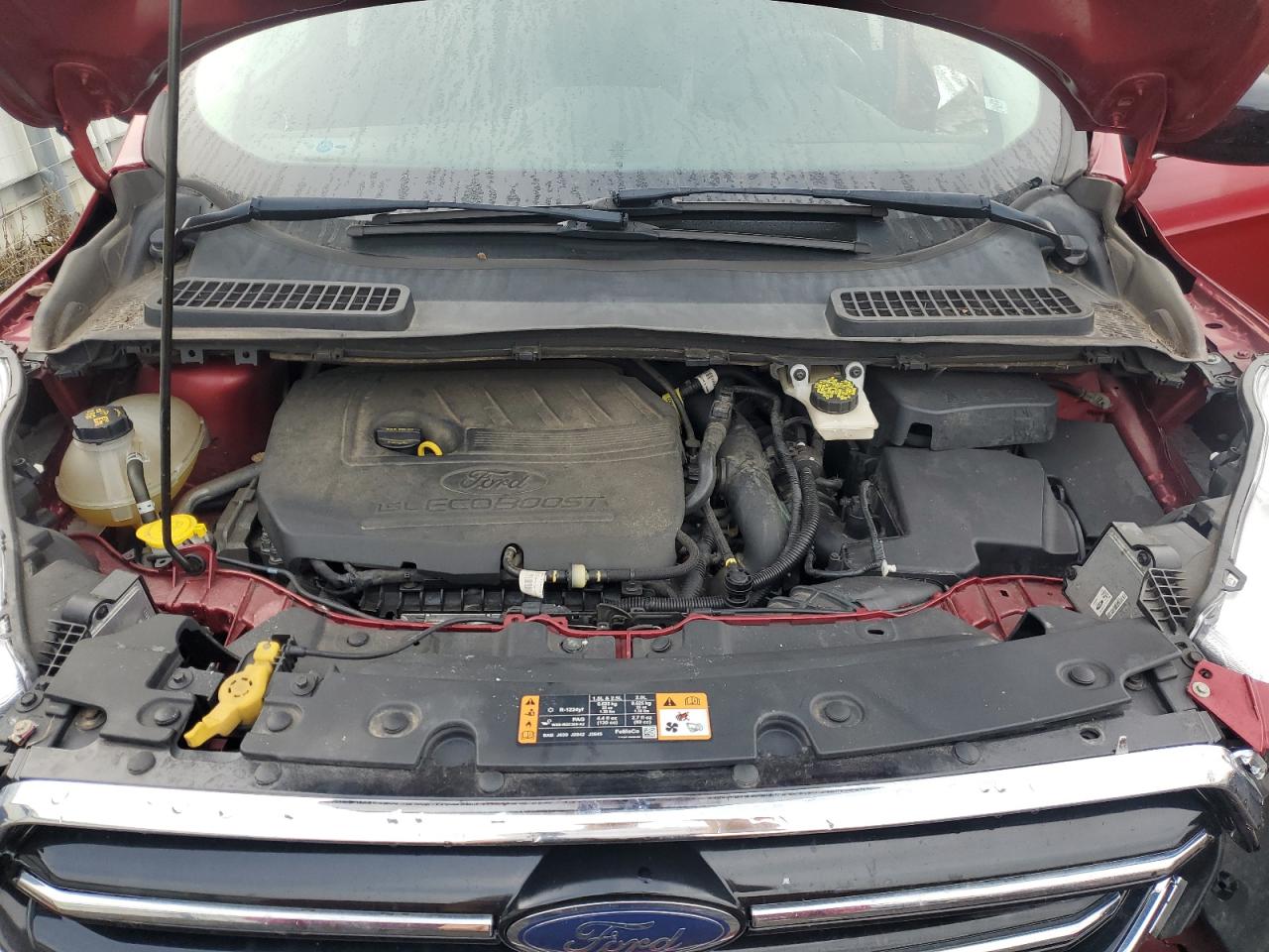 Ford Escape Sel Image 12