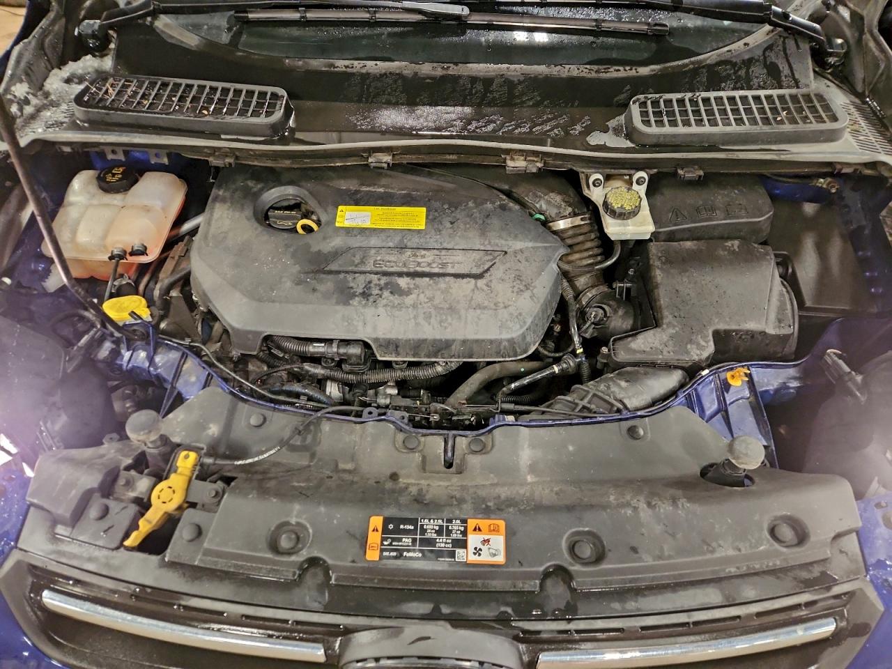 Ford Escape Se Image 11