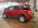 Ford Escape Limited Image 13